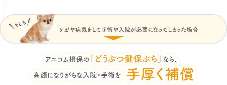 もしもケガや病気をして手術や入院が必要になってしまった場合 アニコム損保の「どうぶつ健保ぷち」なら、高額になりがちな入院・手術を手厚く補償