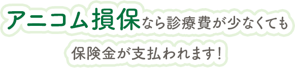 アニコム損保なら診療費が少なくても保険金が支払われます！