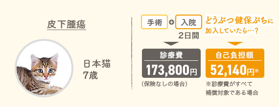 皮下腫瘍 日本猫7歳 手術＋入院2日間▶診療費173,800円（保険なしの場合） どうぶつ健保ぷちに加入していたら…？▶自己負担額52,800円※診療費がすべて補償対象である場合
