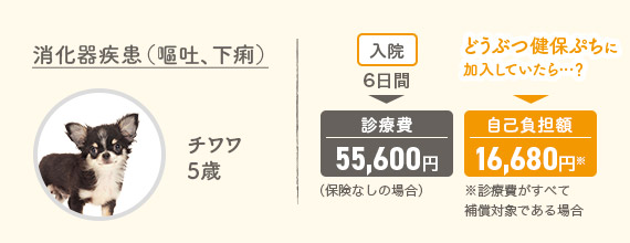 消火器疾患（嘔吐、下痢）チワワ5歳 入院6日間▶診療費55,600円（保険なしの場合） どうぶつ健保ぷちに加入していたら…？▶自己負担額16,680円※診療費がすべて補償対象である場合