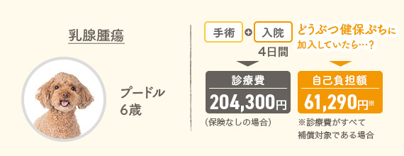 乳腺腫瘍 プードル6歳 手術＋入院4日間▶診療費204,300円（保険なしの場合） どうぶつ健保ぷちに加入していたら…？▶自己負担額61,290円※診療費がすべて補償対象である場合
