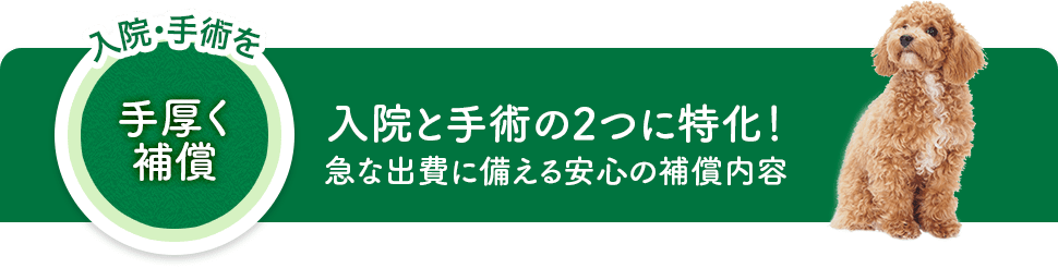入院と手術の2つに特化！急な出費に備える安心の補償内容