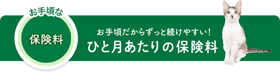 お手頃な保険料 お手頃だからずっと続けやすい！月払の保険料