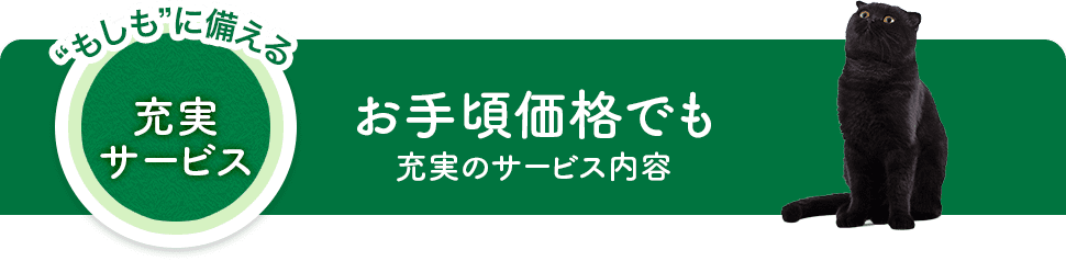 ”もしも”に備える充実サービス お手頃価格でも充実のサービス内容