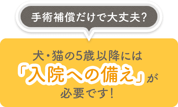 手術補償だけで大丈夫？犬・猫の5歳以降には 「入院への備え」が 必要です！