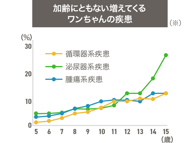 加齢にともない増えてくるワンちゃんの疾患