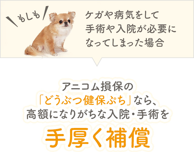 もしもケガや病気をして手術や入院が必要になってしまった場合 アニコム損保の「どうぶつ健保ぷち」なら、高額になりがちな入院・手術を手厚く補償
