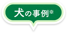 犬の事例