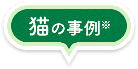 猫の事例