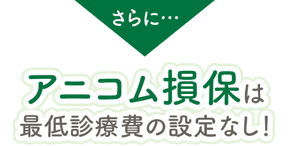 アニコム損保は 最低診療費の設定なし！