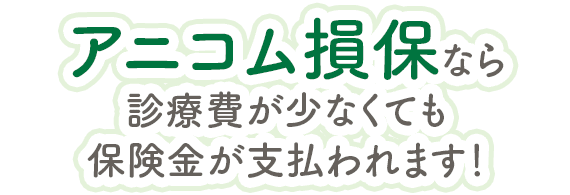 アニコム損保なら診療費が少なくても保険金が支払われます！