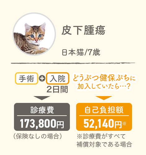 皮下腫瘍 日本猫7歳 手術＋入院2日間▶診療費173,800円（保険なしの場合） どうぶつ健保ぷちに加入していたら…？▶自己負担額52,800円※診療費がすべて補償対象である場合