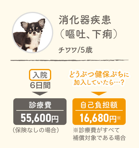 消火器疾患（嘔吐、下痢）チワワ5歳 入院6日間▶診療費55,600円（保険なしの場合） どうぶつ健保ぷちに加入していたら…？▶自己負担額16,680円※診療費がすべて補償対象である場合