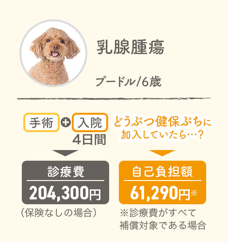 乳腺腫瘍 プードル6歳 手術＋入院4日間▶診療費204,300円（保険なしの場合） どうぶつ健保ぷちに加入していたら…？▶自己負担額61,290円※診療費がすべて補償対象である場合