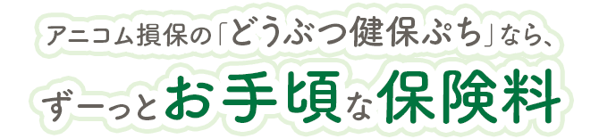 アニコム損保の「どうぶつ健保ぷち」なら、ずーっとお手頃な保険料