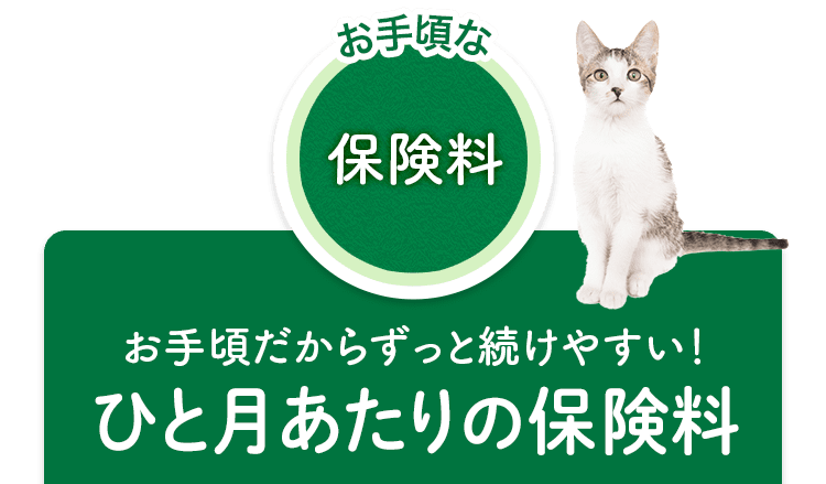 お手頃な保険料 お手頃だからずっと続けやすい！月払の保険料