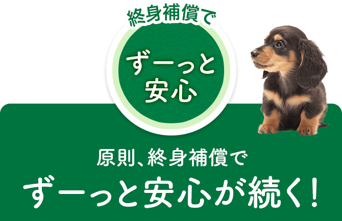 原則、終身補償でずーっと安心が続く！