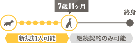 新規加入可能7歳11ヶ月
