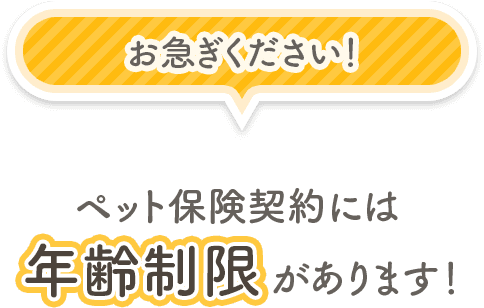 お急ぎください！