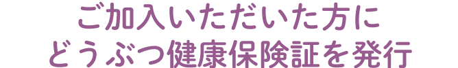 ご加入いただいた方にどうぶつ健康保険証の発行