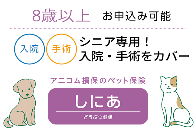 8歳以上お申込み可能　どうぶつ健保しにあ