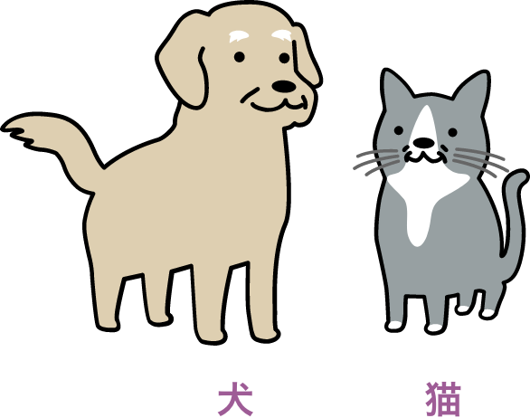 犬 猫