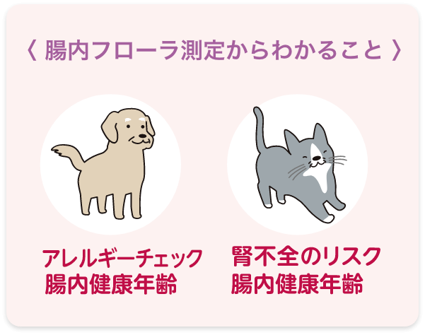 腸内フローラ測定の判断基準
