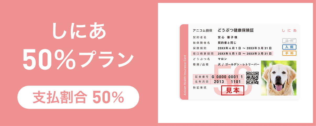 しにあ50%プラン