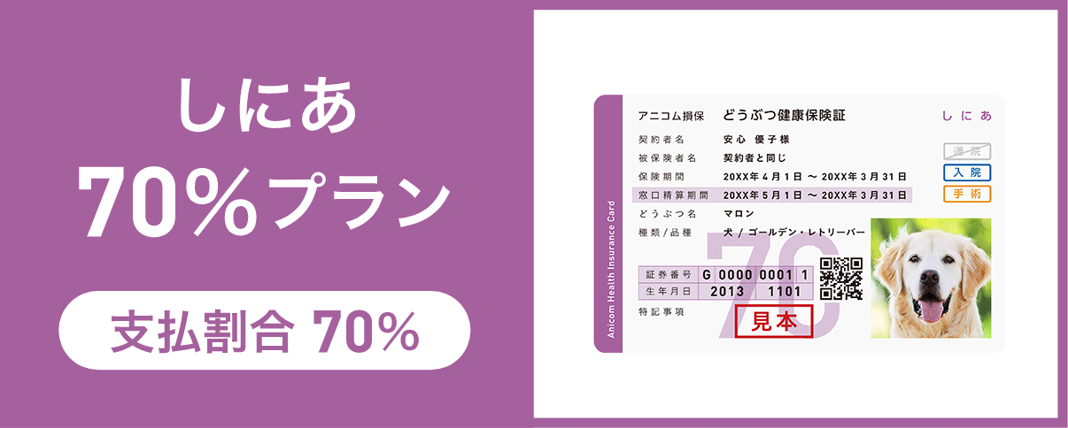 しにあ70%プラン