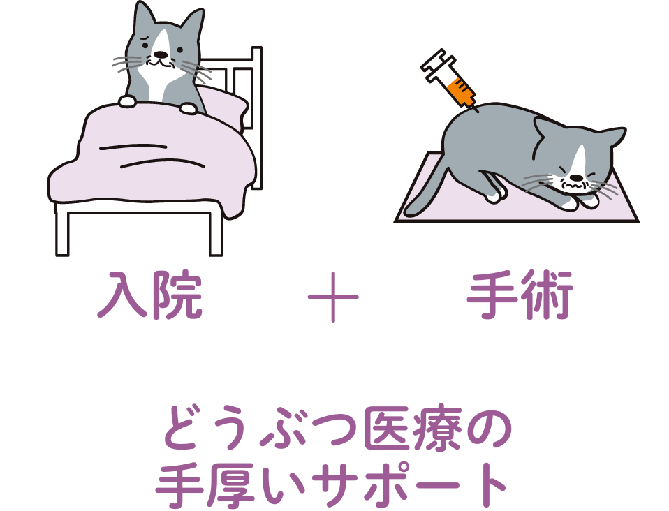 どうぶつ医療の手厚いサポート
