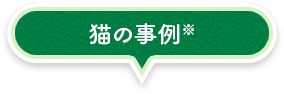 猫の事例