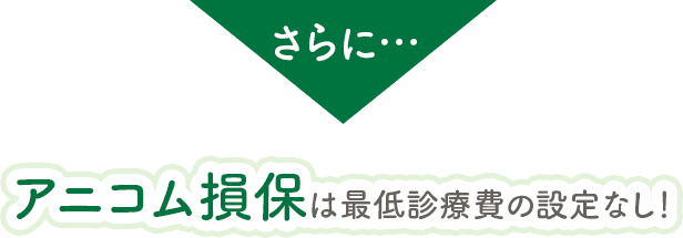 アニコム損保は 最低診療費の設定なし！
