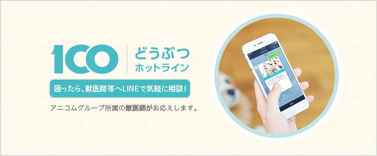 どうぶつホットライン 困ったら、獣医師等へLINEで気軽に相談!
