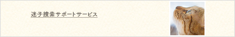 迷子捜索サポートサービス