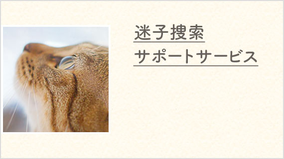 迷子捜索サポートサービス