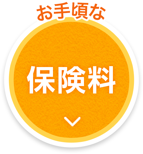 お手頃な保険料