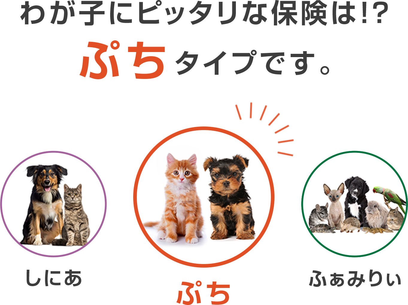 わが子にピッタリな保険は！？『ぷち』タイプです。