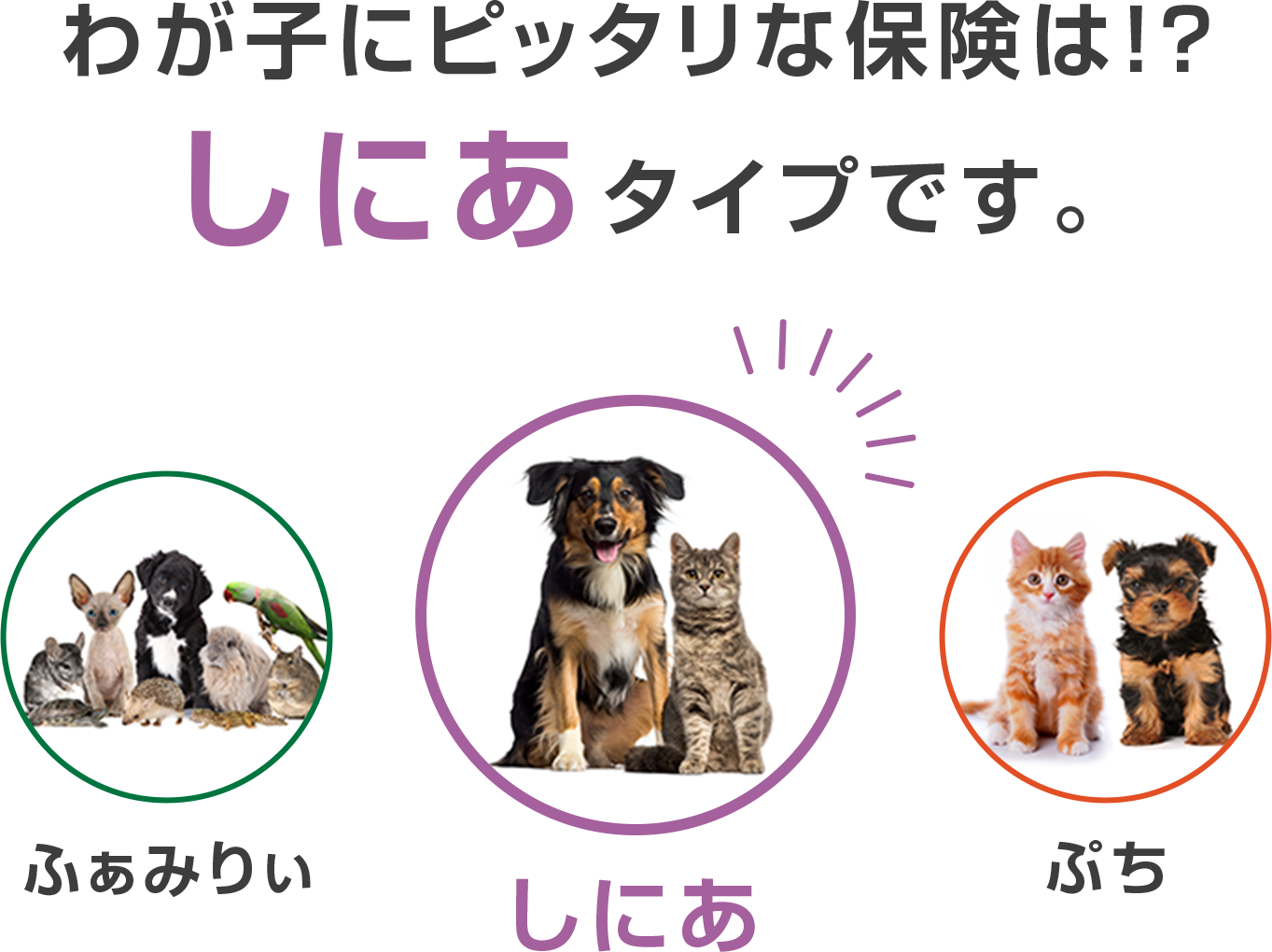 わが子にピッタリな保険は！？『しにあ』タイプです。