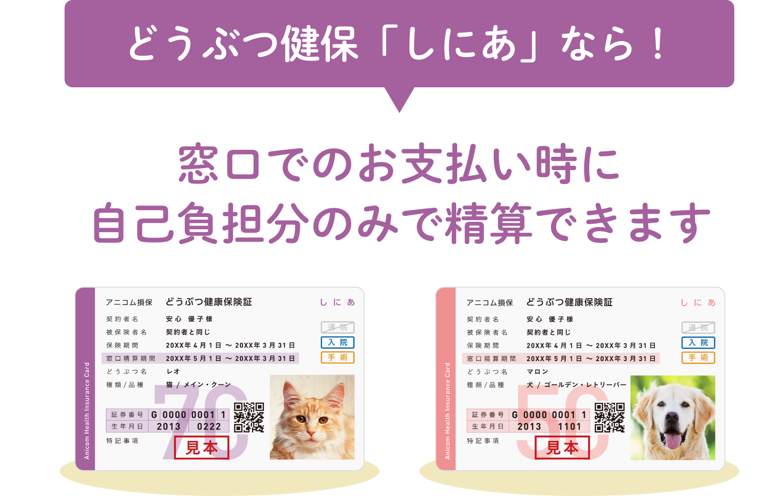 どうぶつ健保「しにあ」なら！窓口でのお支払い時に自己負担分のみで精算できます