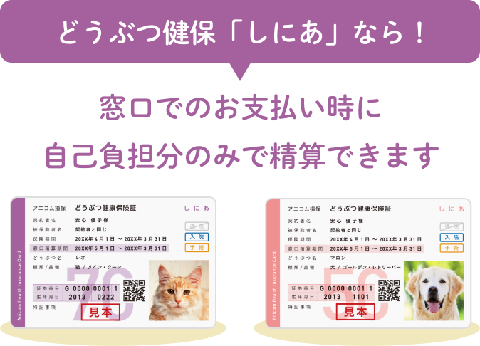 どうぶつ健保「しにあ」なら！窓口でのお支払い時に自己負担分のみで精算できます