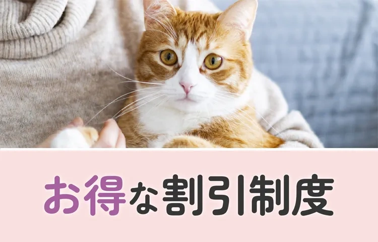 お得な割引制度