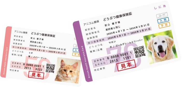 どうぶつ健康保険証