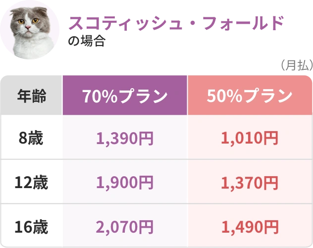 スコティッシュ・フォールドの場合