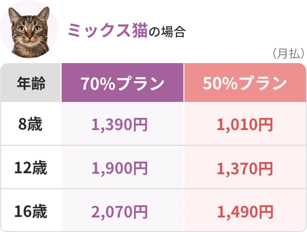 ミックス猫の場合