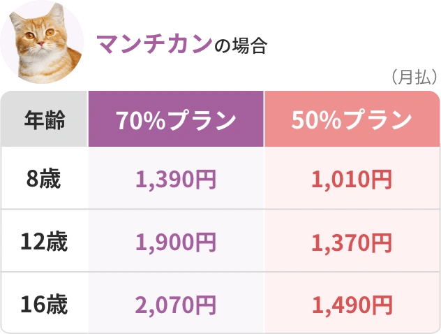 マンチカンの場合