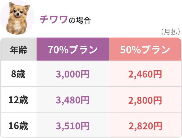 チワワの場合