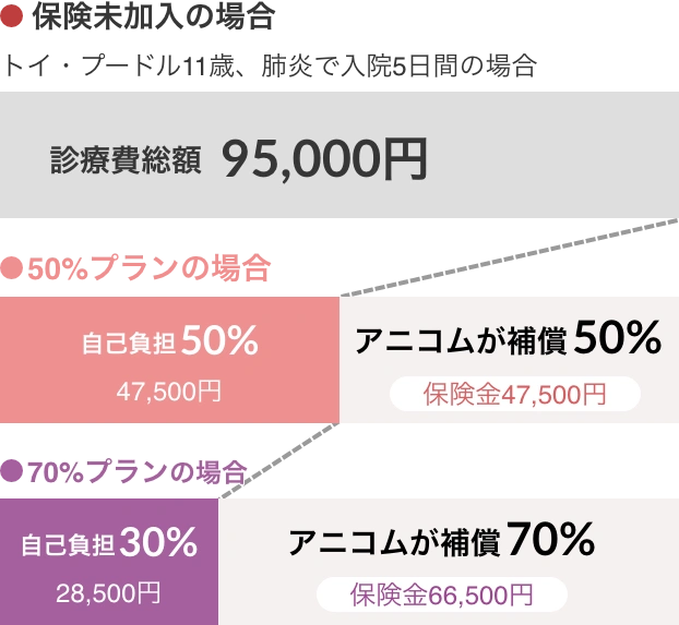 プランの比較