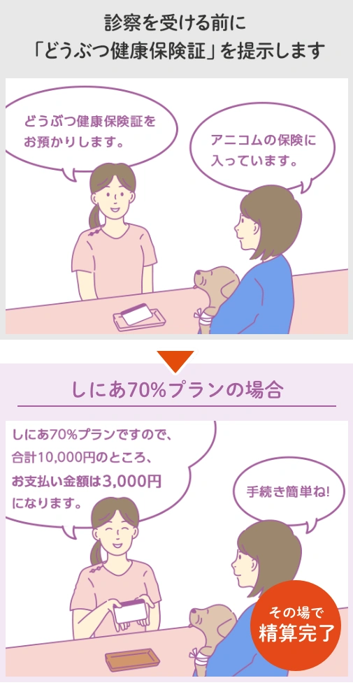 手続きイメージ