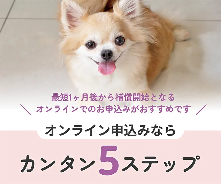 かんたん５ステップ