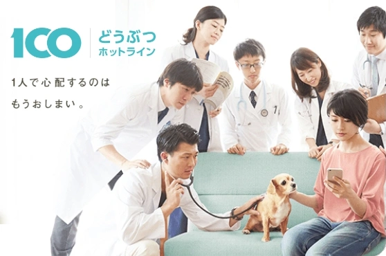獣医師等によるLINEでの相談サービス
